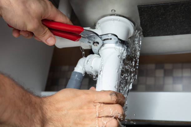 Best Fire Damage Restoration  in Lacoochee, FL