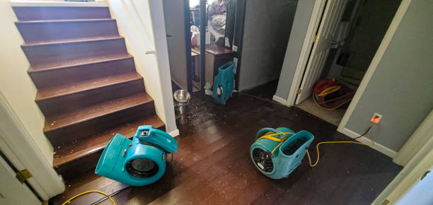 Best Professional water damage repair  in Lacoochee, FL