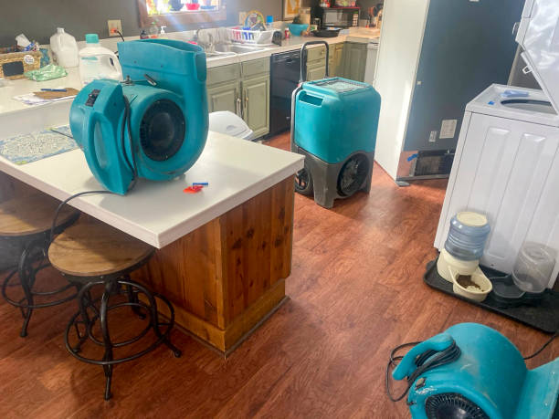 Best Water damage restoration near me  in Lacoochee, FL