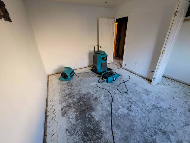 Best Sewage cleanup and water damage restoration  in Lacoochee, FL