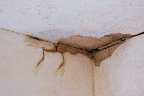 Best 24/7 water damage repair  in Lacoochee, FL