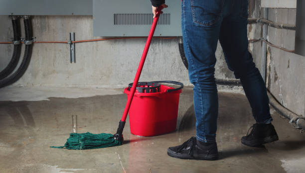 Best Water damage restoration near me  in Lacoochee, FL