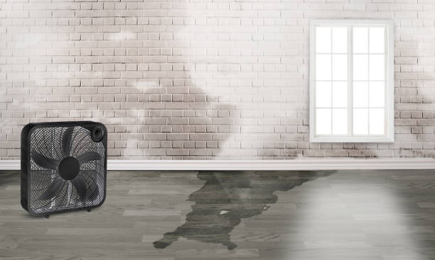  Lacoochee, FL Water damage restoration Pros