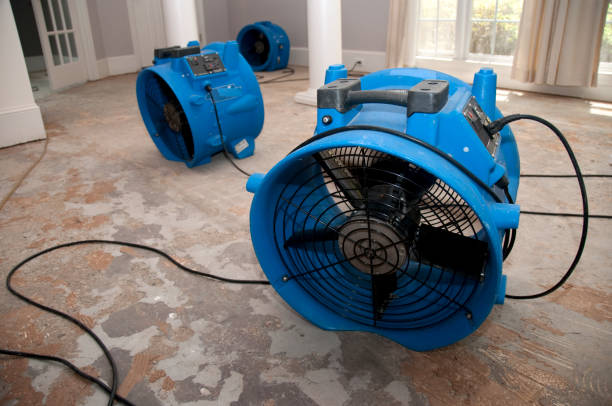 Best Ceiling water damage repair  in Lacoochee, FL