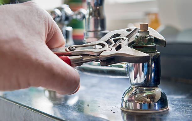 Best Carpet water damage restoration  in Lacoochee, FL