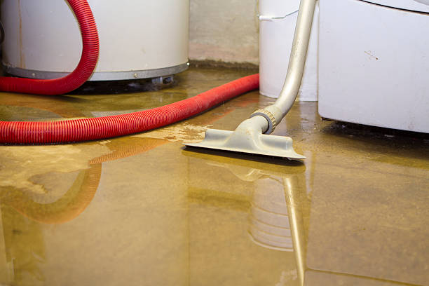 Best Emergency water damage restoration  in Lacoochee, FL