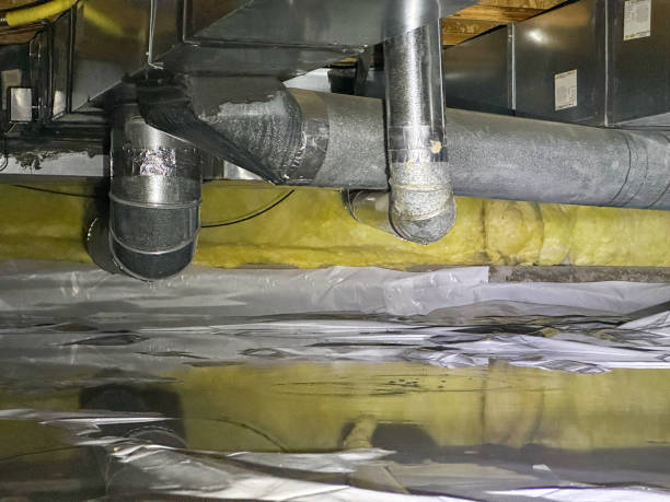 Best Flood damage cleanup  in Lacoochee, FL
