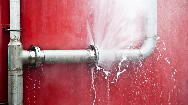 Best Flood damage cleanup  in Lacoochee, FL